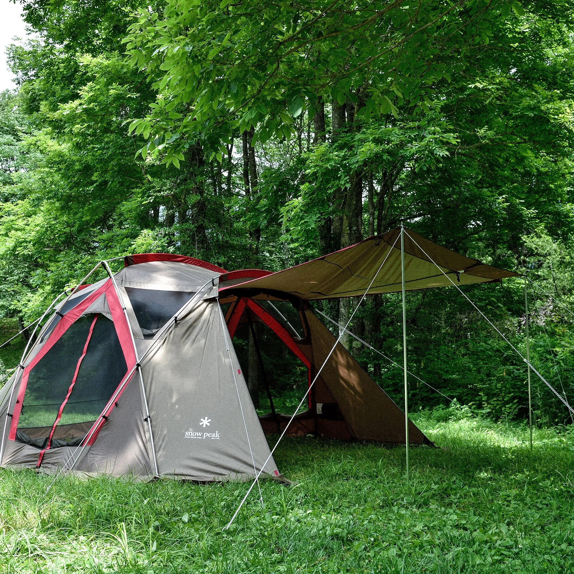 Awning Pole Set