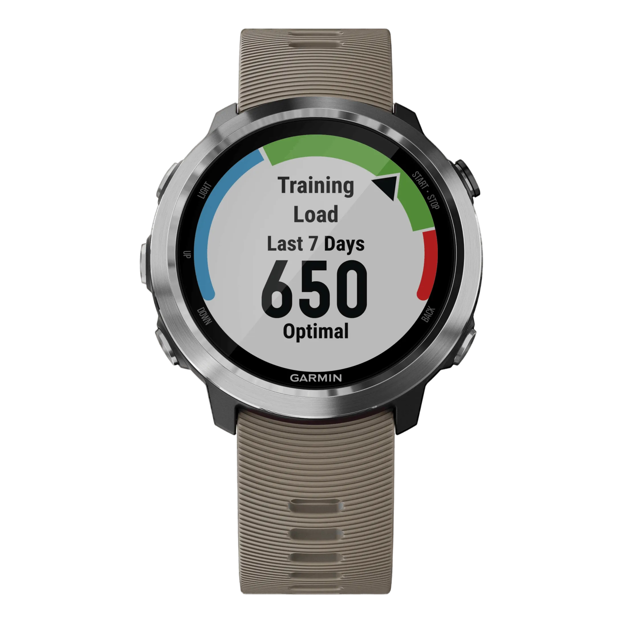Forerunner 645 Brown