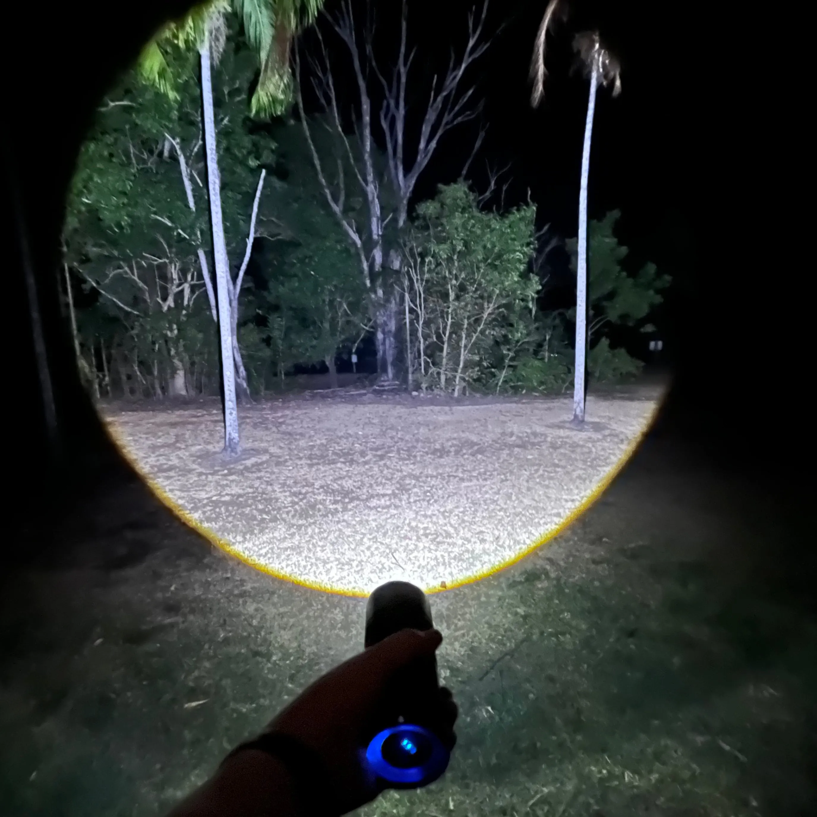 TF23 Torch 2300 Lumens